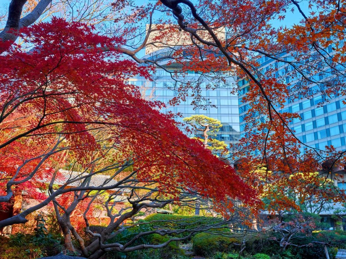 Hotel New Otani Tokyo The Main Exteriér fotografie Autumn at the University of Tokyo